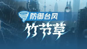 台风竹节草 台风竹节草