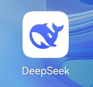 DeepSeek DeepSeek