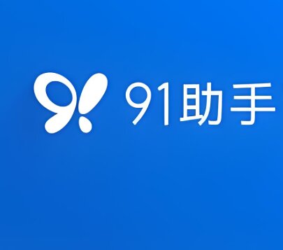 91助手