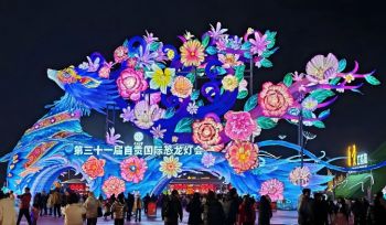 第三十一届自贡国际恐龙灯会 第三十一届自贡国际恐龙灯会