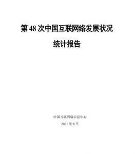 中国互联网络发展状况统计报告