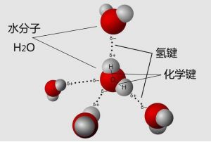 分子间氢键