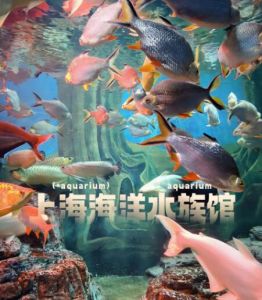 上海海洋水族馆