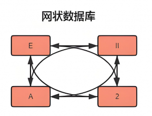 网状数据库