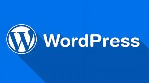 WordPress内容管理系统