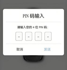 PIN个人身份识别码