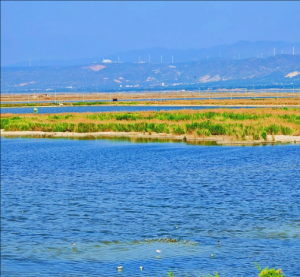 运城盐湖