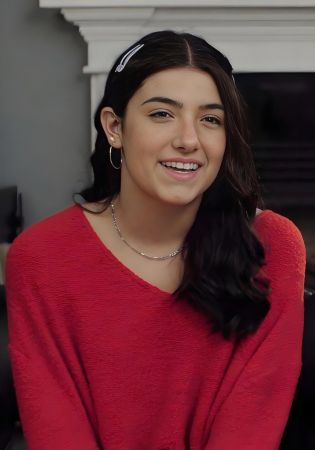 查莉·达梅利奥 查莉·达梅利奥