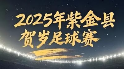 2025年贺岁杯足球赛 2025年贺岁杯足球赛