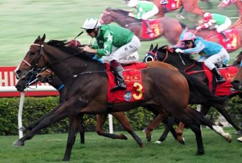 2025农历新年赛马日 2025农历新年赛马日