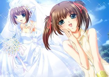 爱在2026 爱在2026