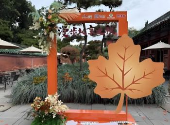 “漫步北京之秋·秋日长椅三分钟”计划 “漫步北京之秋·秋日长椅三分钟”计划