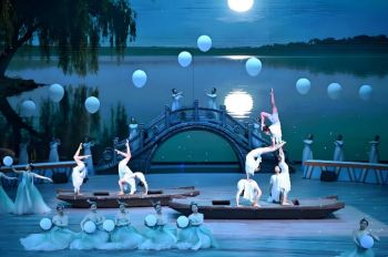 第二十届中国吴桥国际杂技艺术节