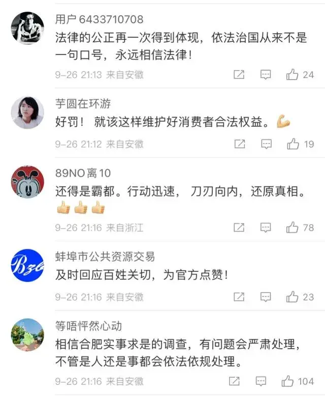 三只羊处罚结果公布，罚款6800万，保护伞被查(图5)